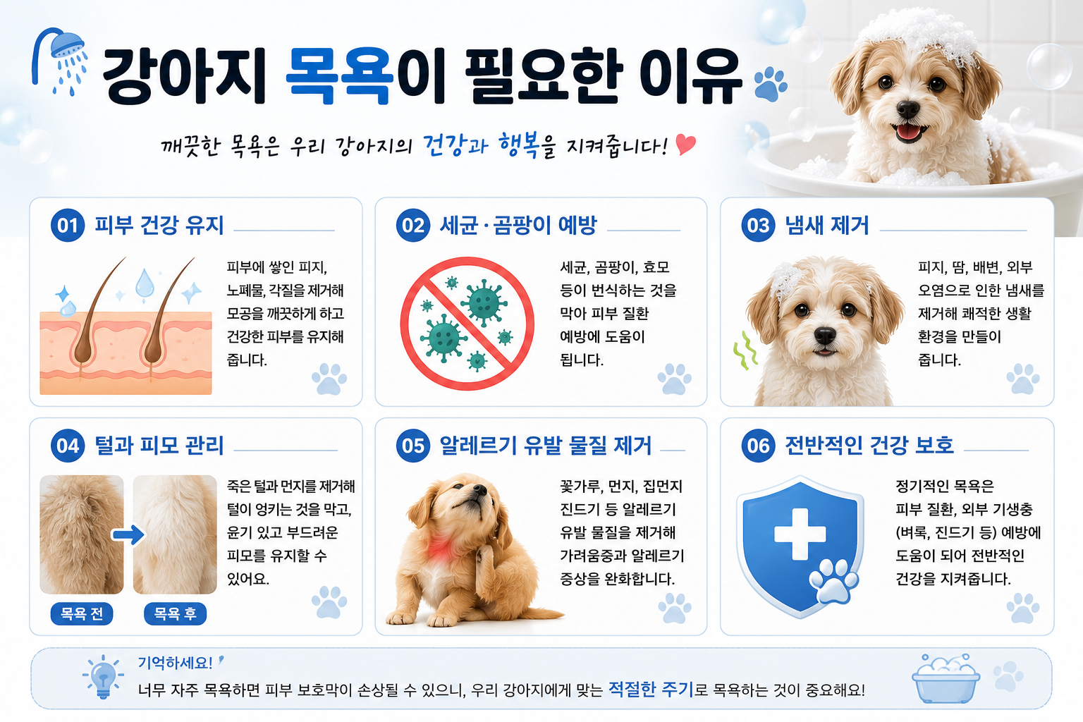 강아지 목욕이 필요한 이유 이미지