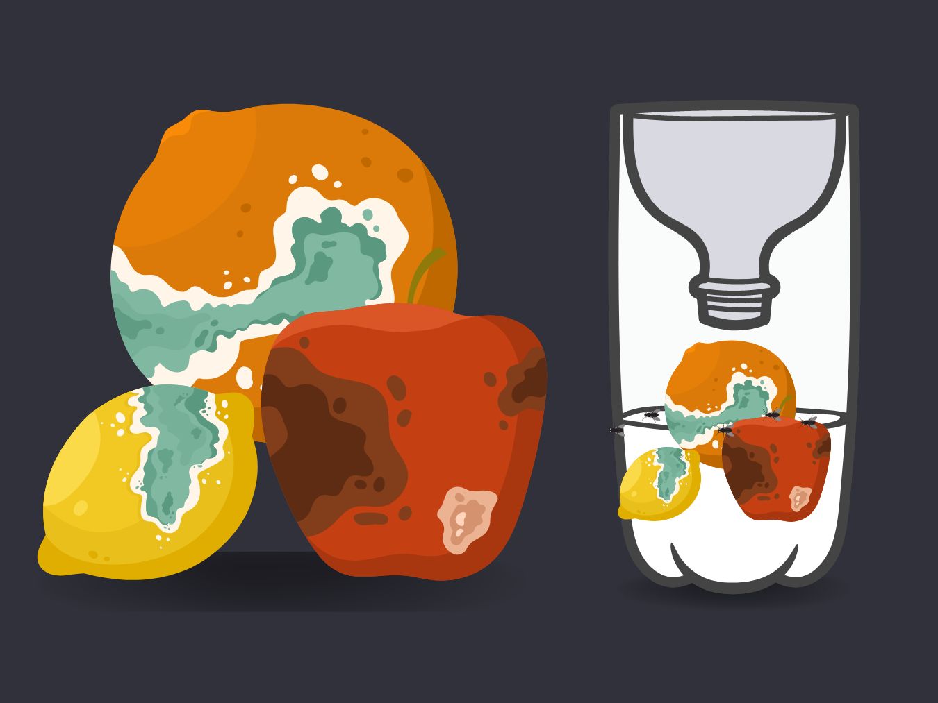 썩은 과일 초파리 트랩 만들기