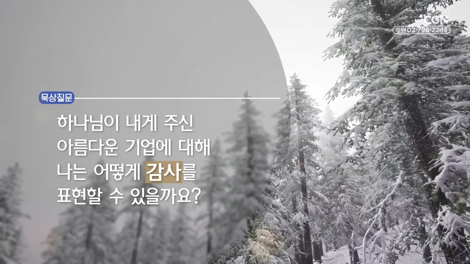 하나님이 내게 주신 아름다운 기업에 대해 나는 어떻게 감사를 표현할 수 있을까요?