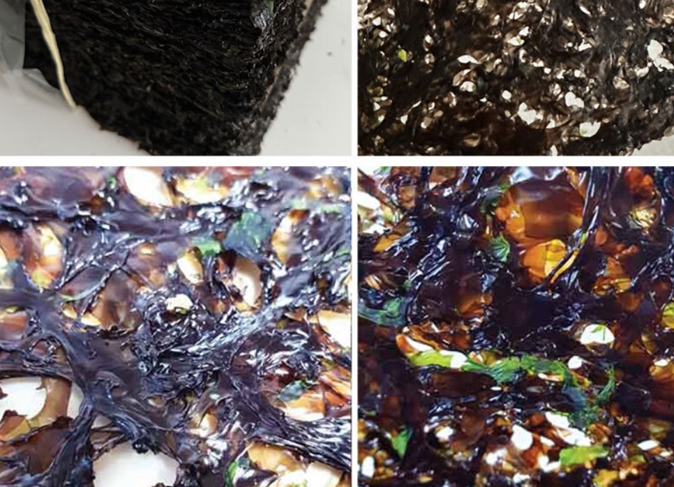 6시내고향-해남-완도-곱창김