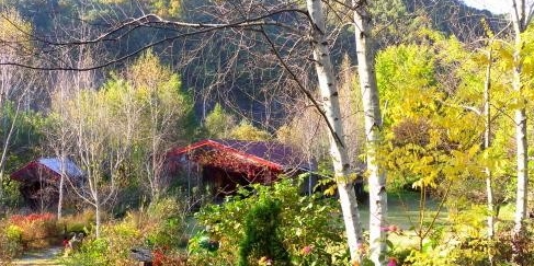 미술관-자작나무숲02