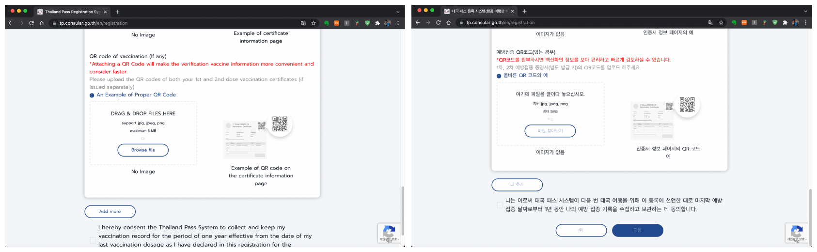백신 접종 내용 기재