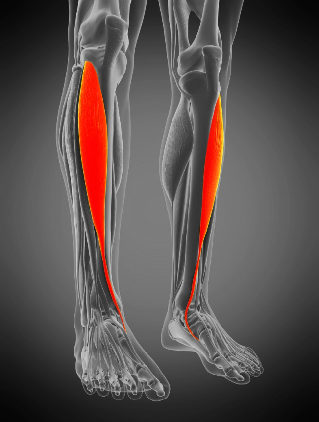 정강이 통증
