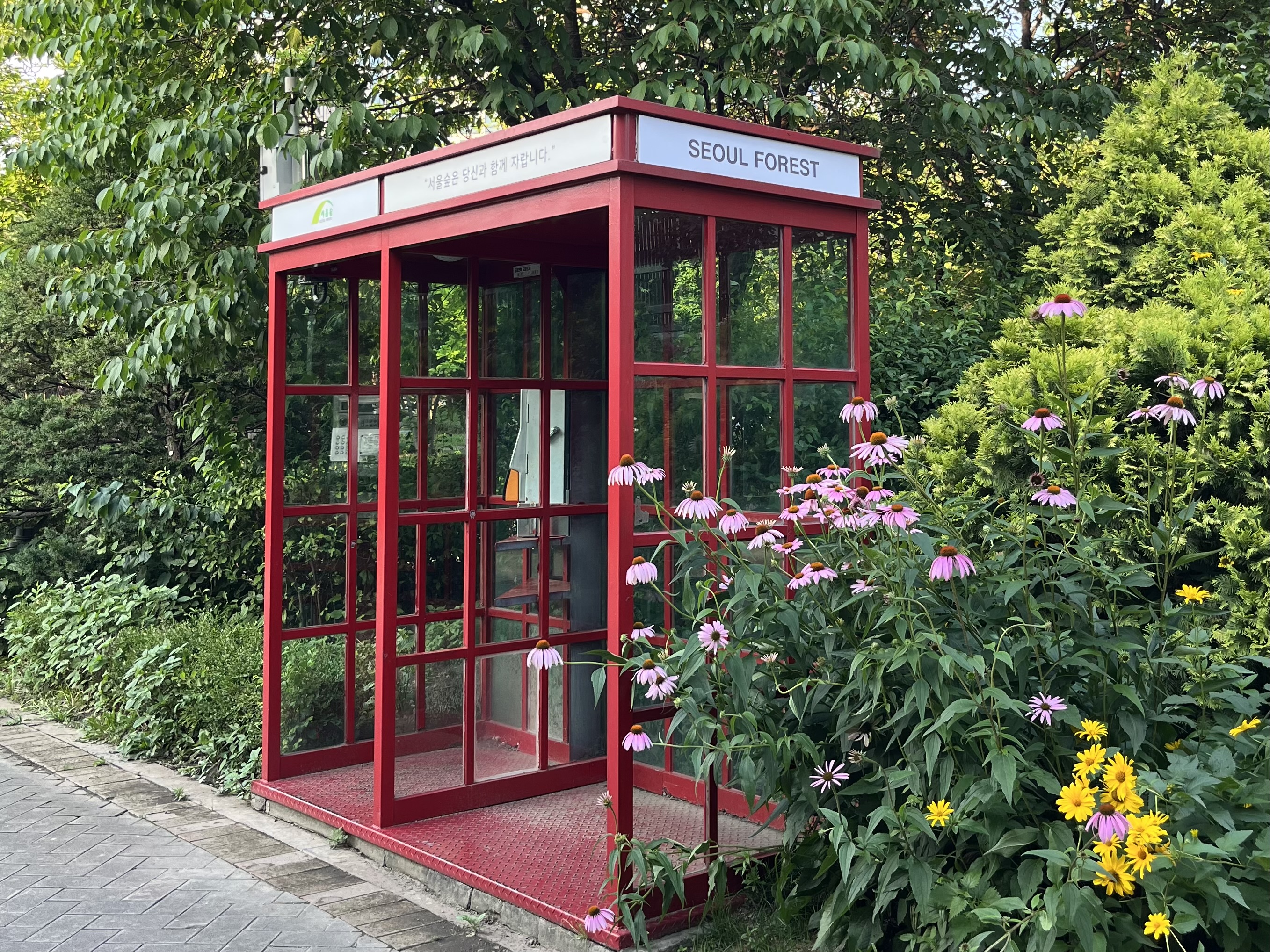 서울데이트코스