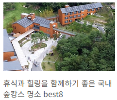 숲캉스