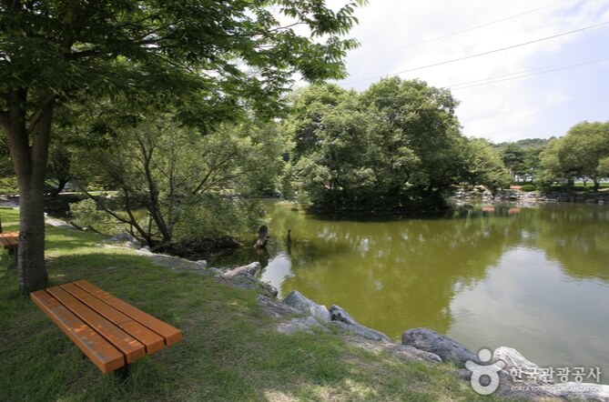 예천 가볼만한곳 베스트 10
