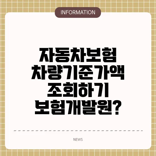자동차보험 차량기준가액 조회하기 보험개발원?