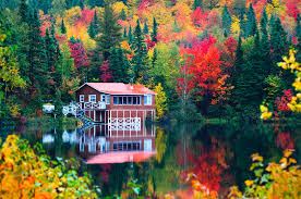 캐나다 메이플로드 단풍명소