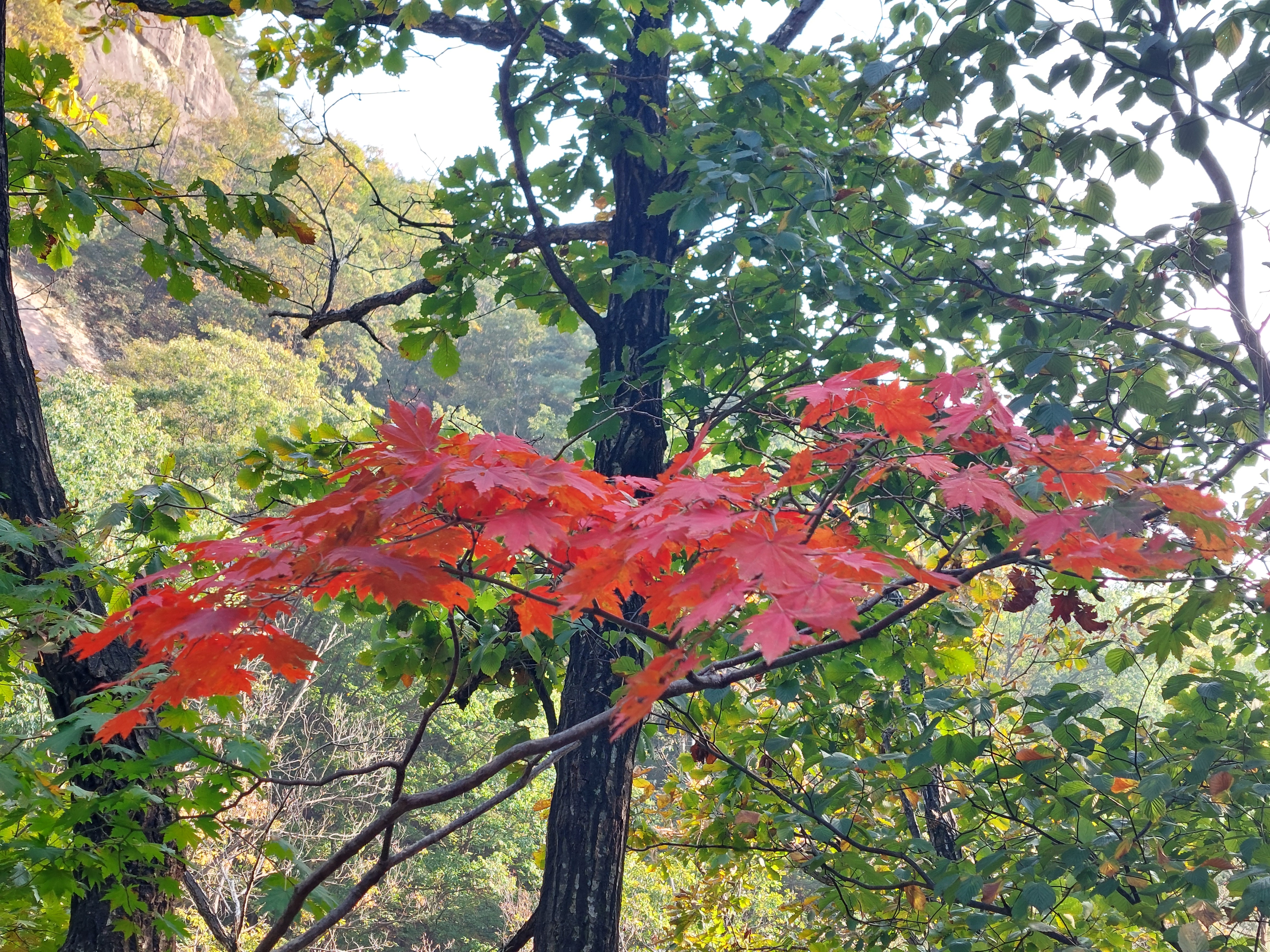 명성산