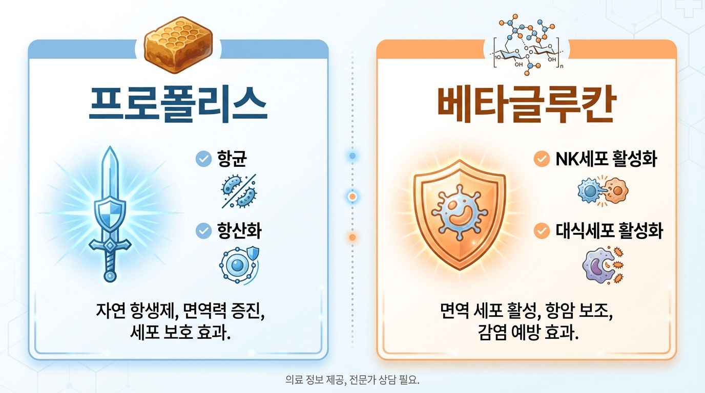 프로폴리스 베타글루칸 핵심 항목 비교 인포그래픽
