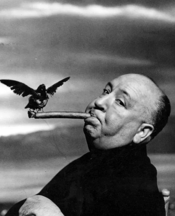 알프레드 히치콕 사진