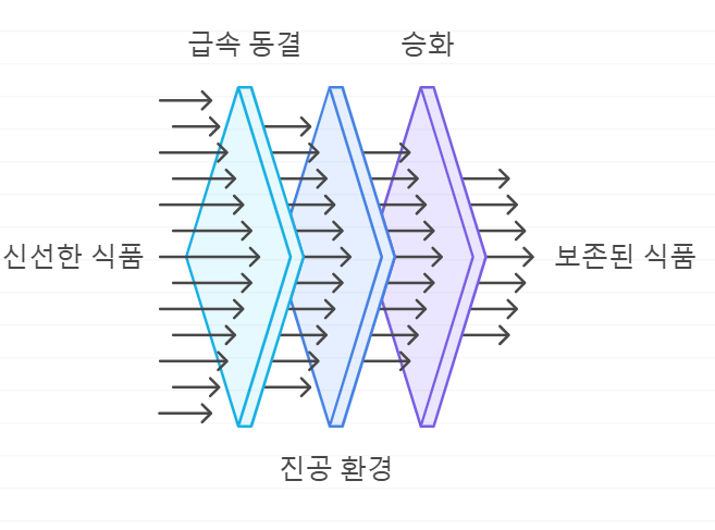 동결건조 과정