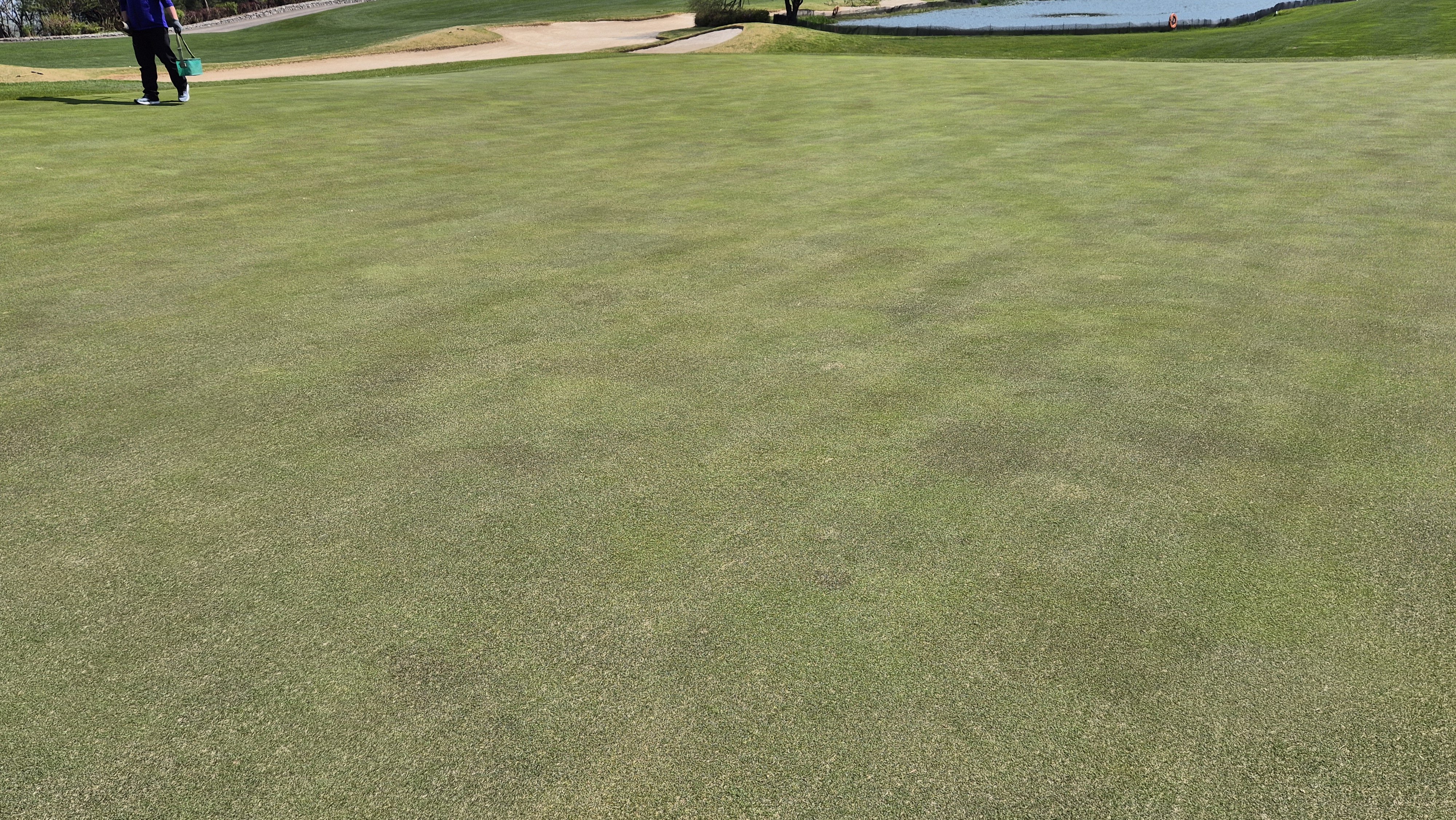 소노펠리체cc 비발디파크 웨스트