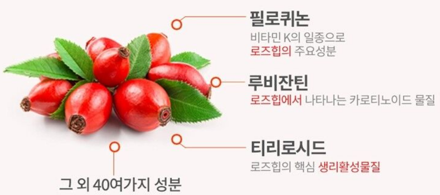 로즈힙퓨레 효능