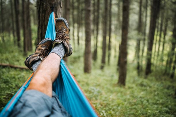 여름 캠핑 - 벌레 퇴치법, 여름 캠핑 시원하게, 총정리 체크리스트