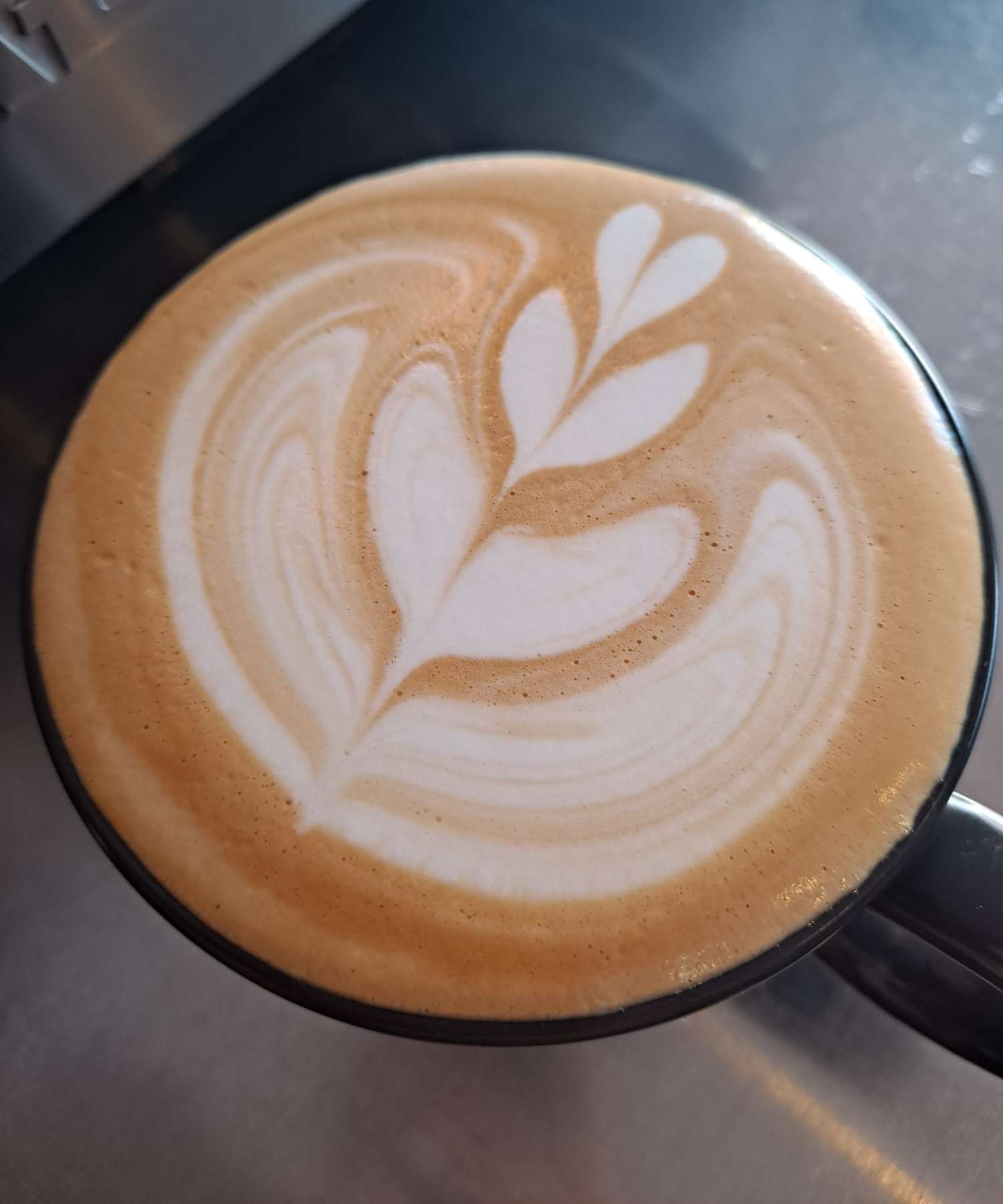 라떼아트 윙튤립