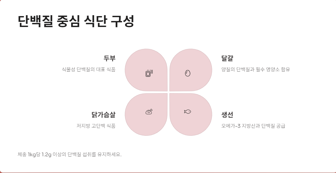 60대 다이어트의 안전한 식단