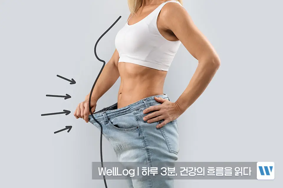 햄프씨드 효능 단백질 오메가3 항산화