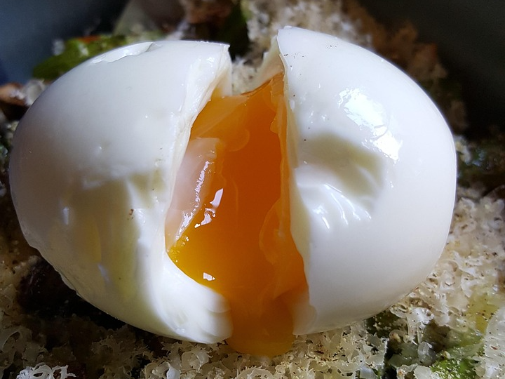 🥚 달걀 속 하나의 세포에서 시작된 영양의 정수 - 단백질의 설계도, 지방의 저장소, 그리고 생명의 구조