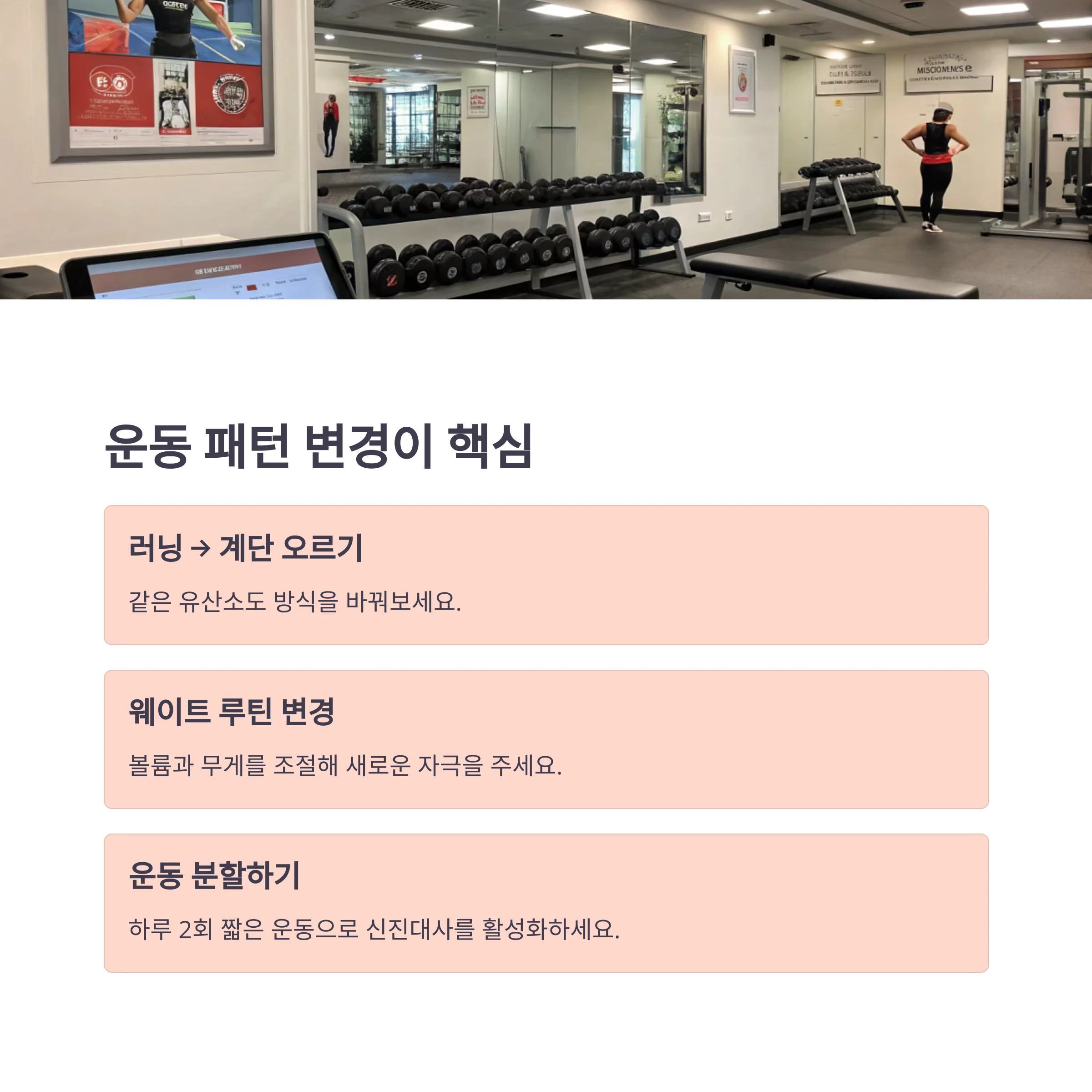 체중감량정체기