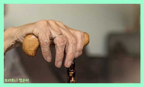 치매 초기증상 8가지 치매 초기증상자가진단법