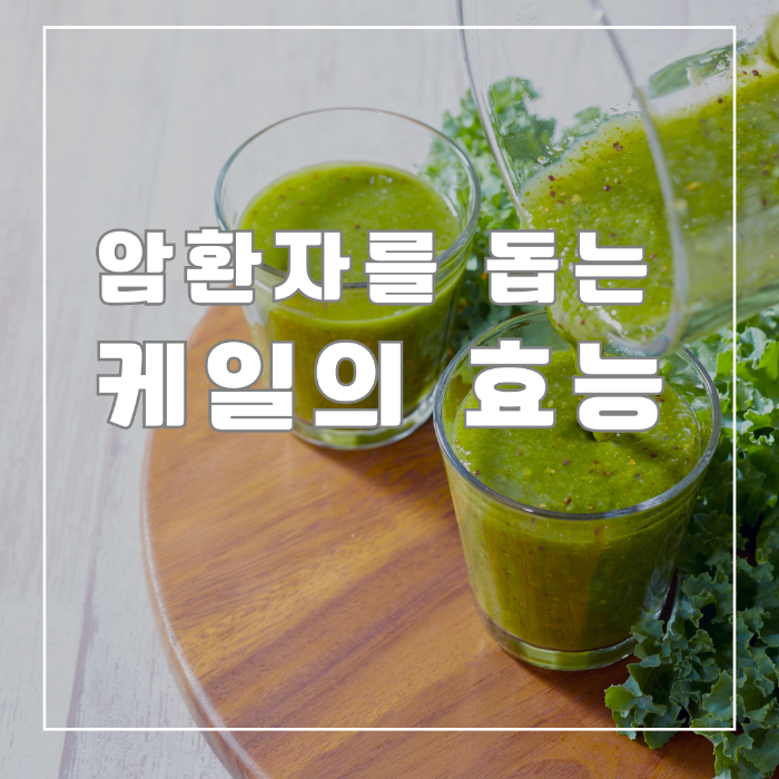 케일의 효능