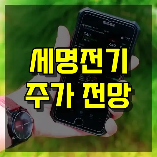 세명전기 주가 전망