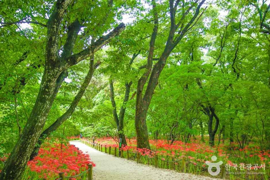 [경남 여행지 추천] 함양 가볼만한 곳 베스트 10 상림공원