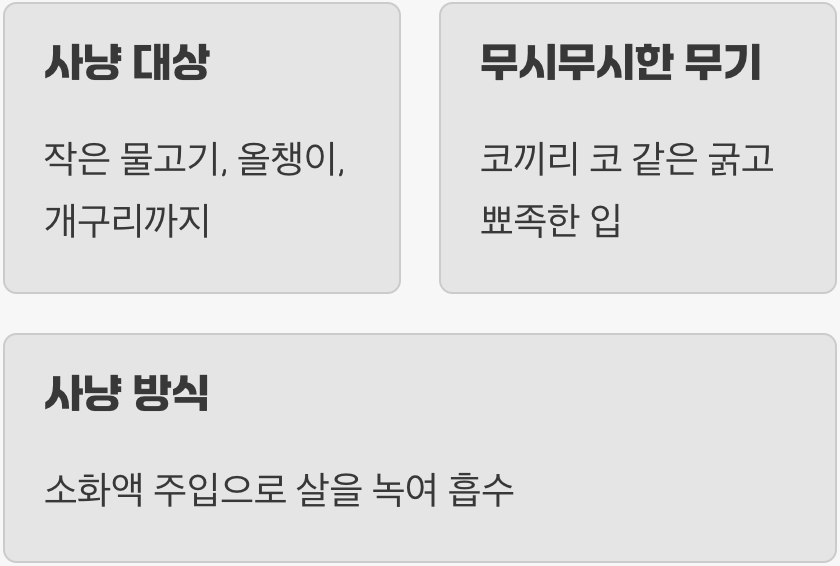물속의 최상위 포식자