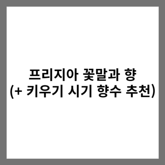 프리지아 꽃말과 향 (+ 키우기 시기 향수 추천)