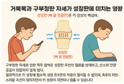 거북목과 구부정한 자세가 성장판에 미치는 영향