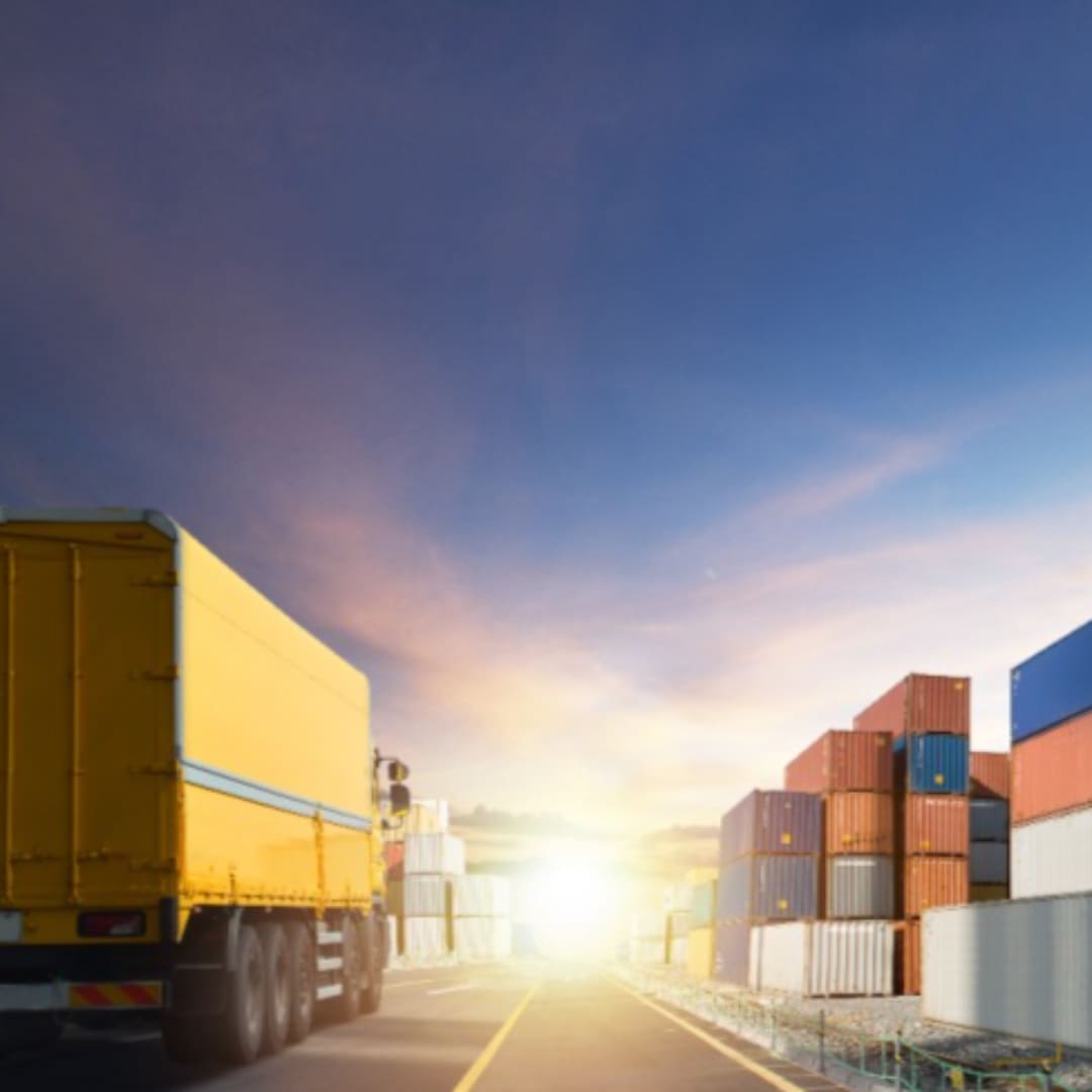 2025년 마늘 시세 전망과 가격 변동 요인