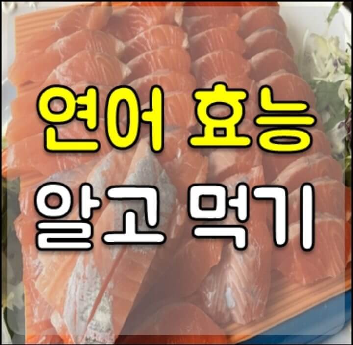 연어 효능 썸네일