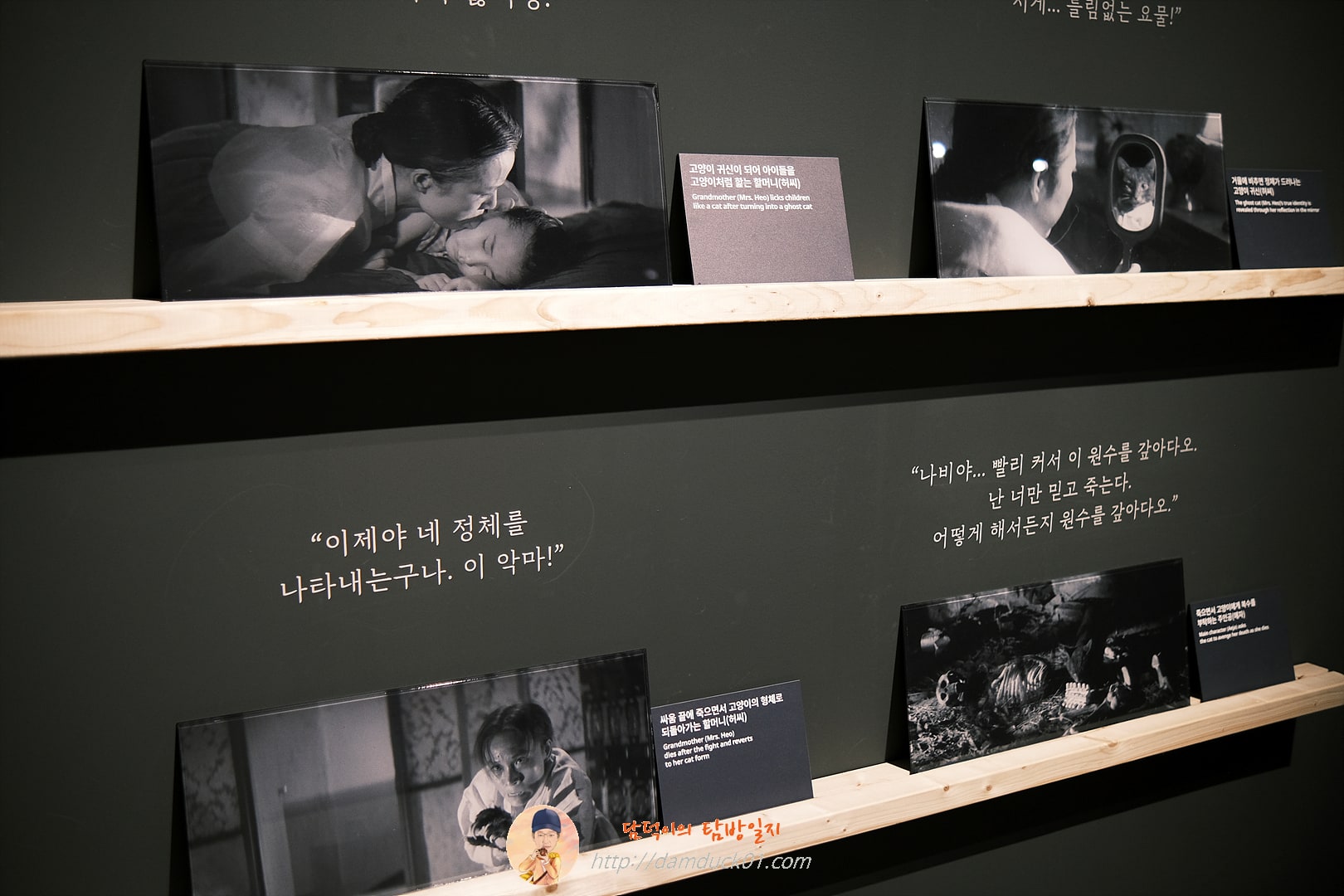 귀엽고 요망한 고양이