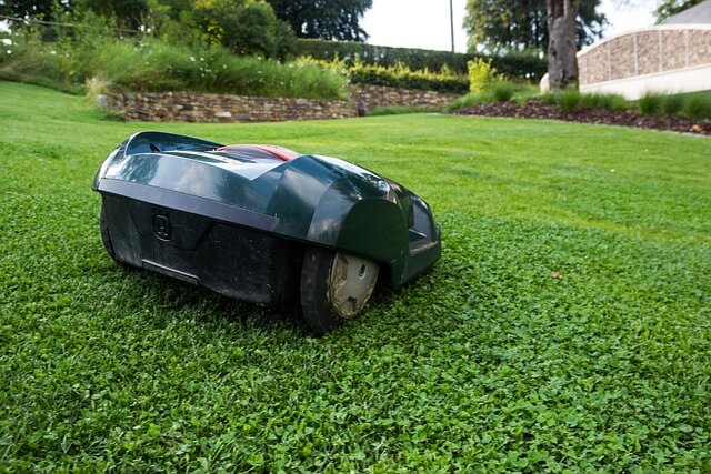 [정원가꾸기_기초편] 초보 가드너를 위한 정원 도구 세트 구성법 : 관리 꿀팁까지 한 번에
