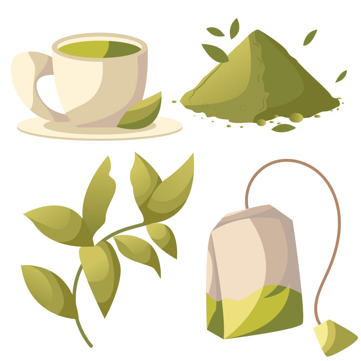 다양한-녹차의-종류및-형태