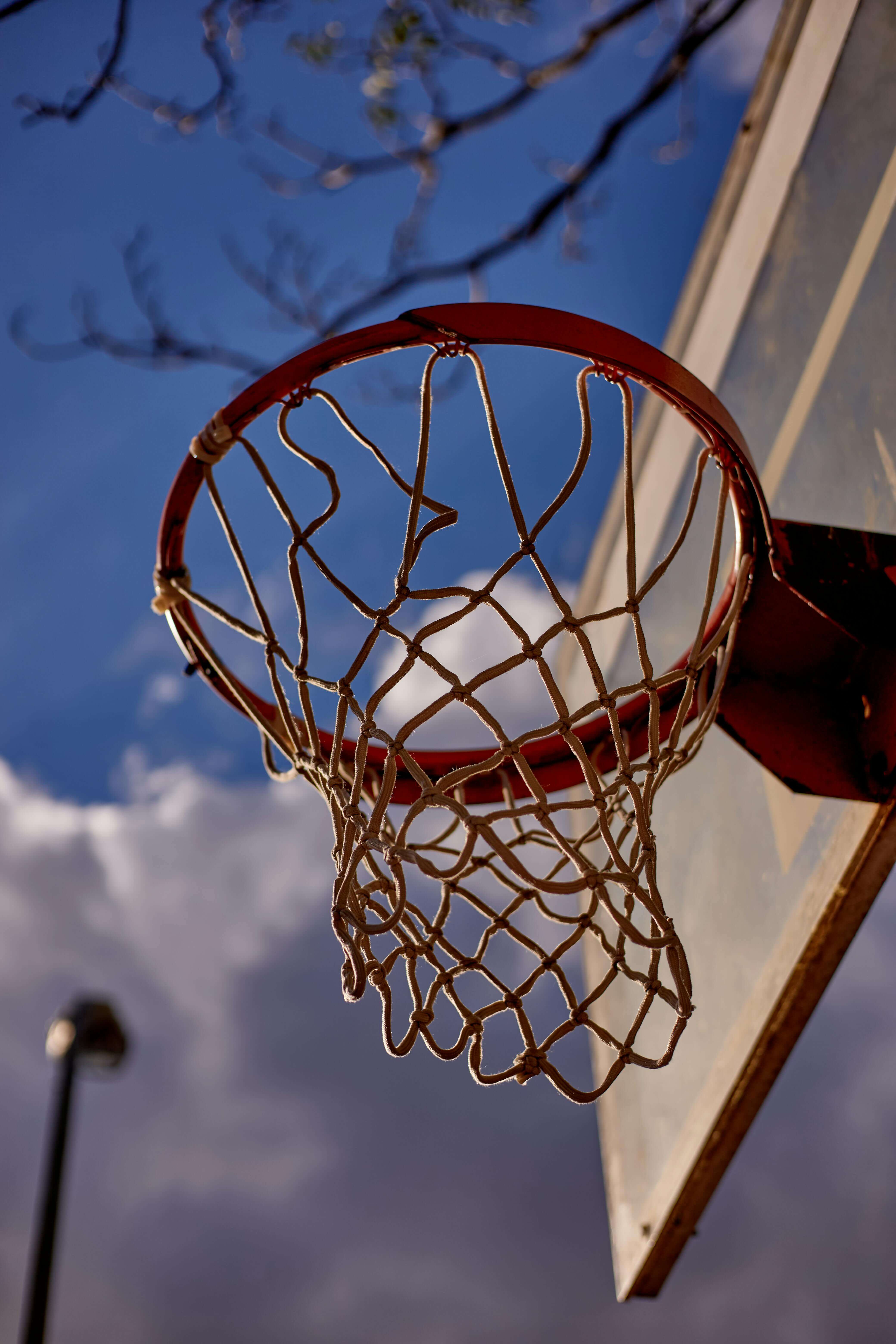 현대모비스 소노 승리 비결 3가지 완벽 분석