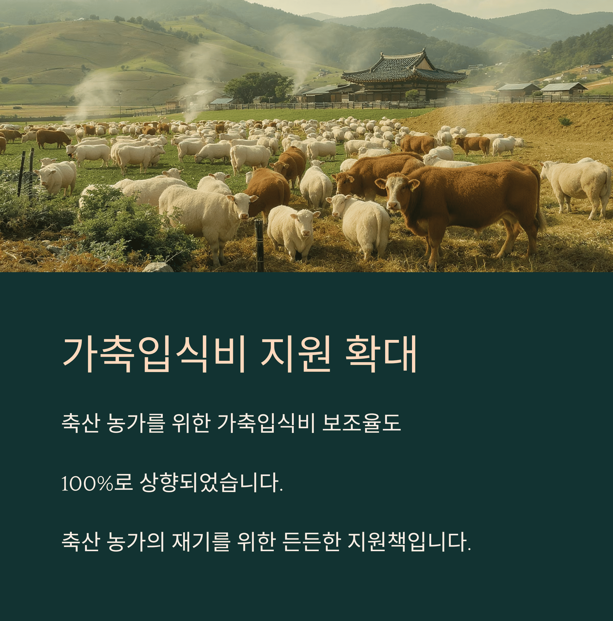 "폭우 피해" 농민들에게 전해진 희망의 소식! 정부 지원금