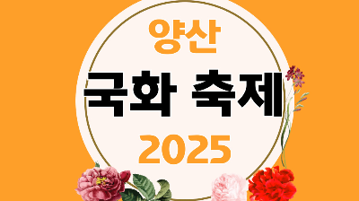 양산 국화축제 일정 2025