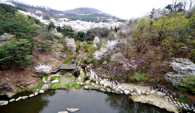 2024 서대문 봄빛축제