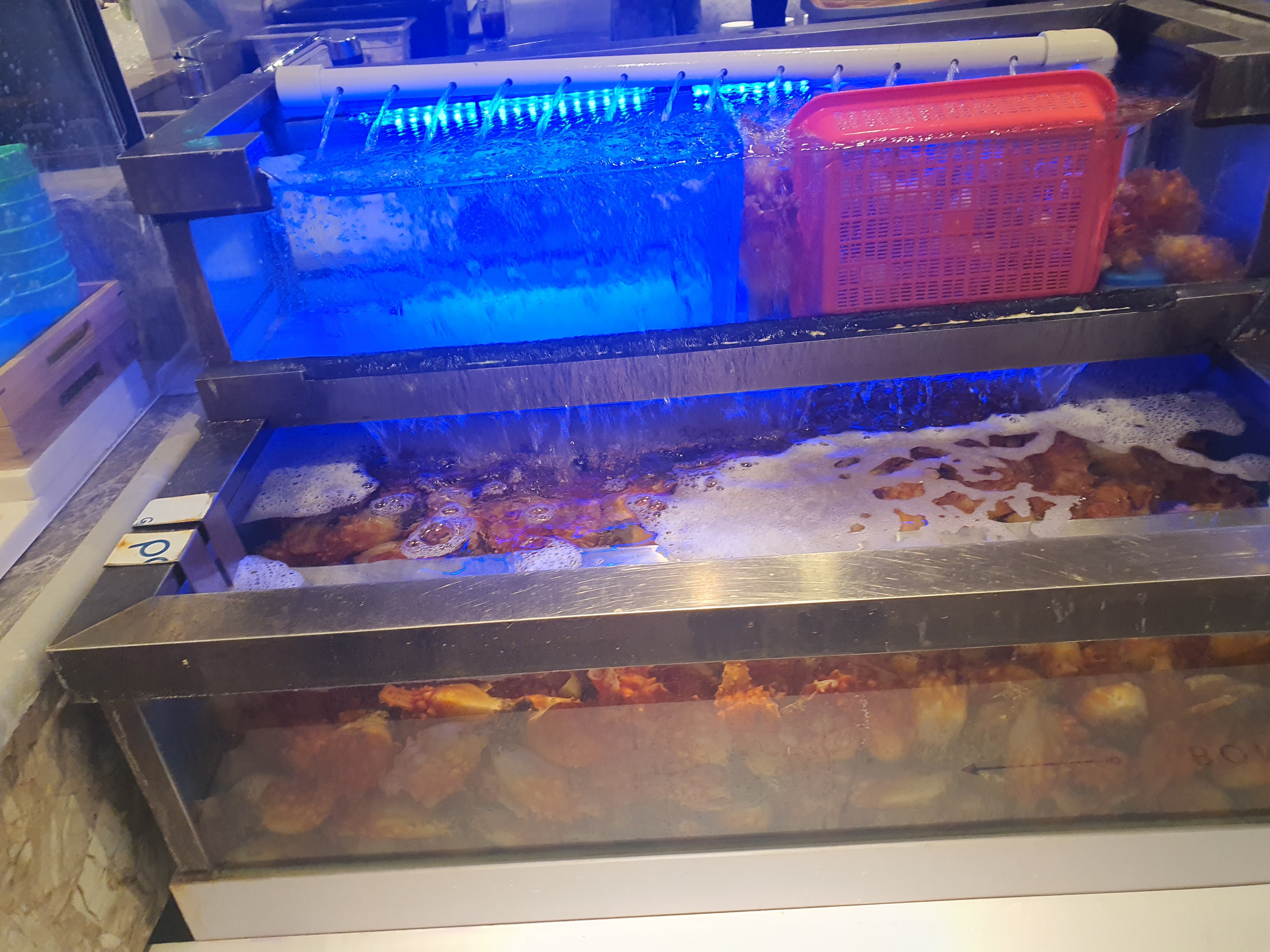 보노보노삼성점