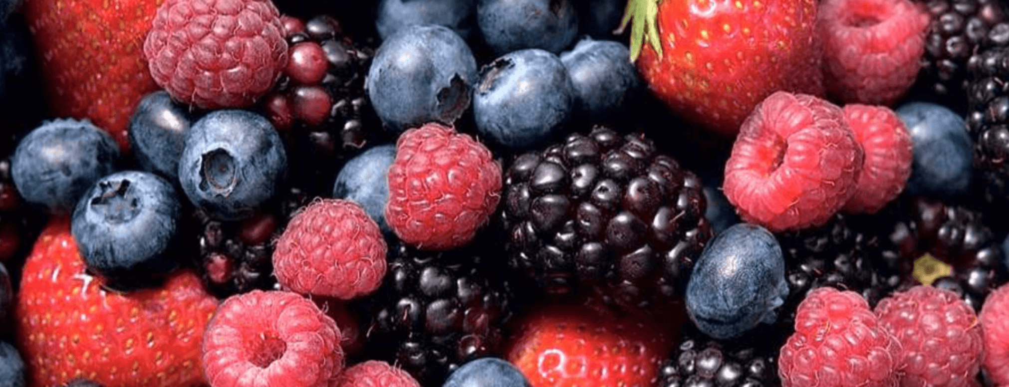 정력에 좋은 음식