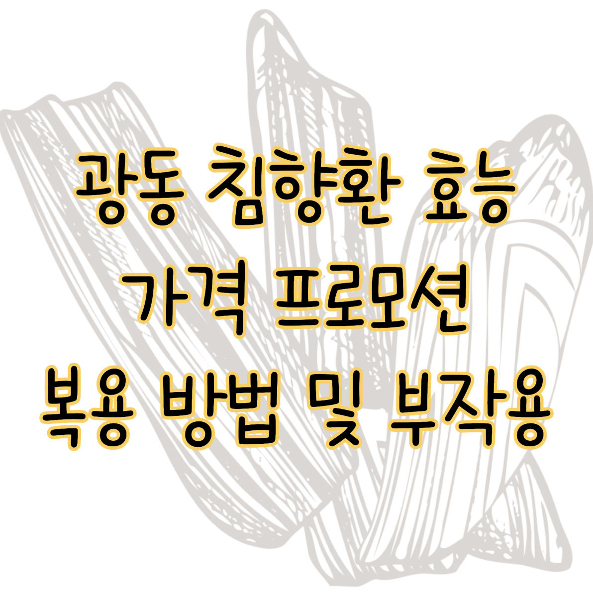 광동 침향환 효능 가격 프로모션 복용 방법 및 부작용 표지