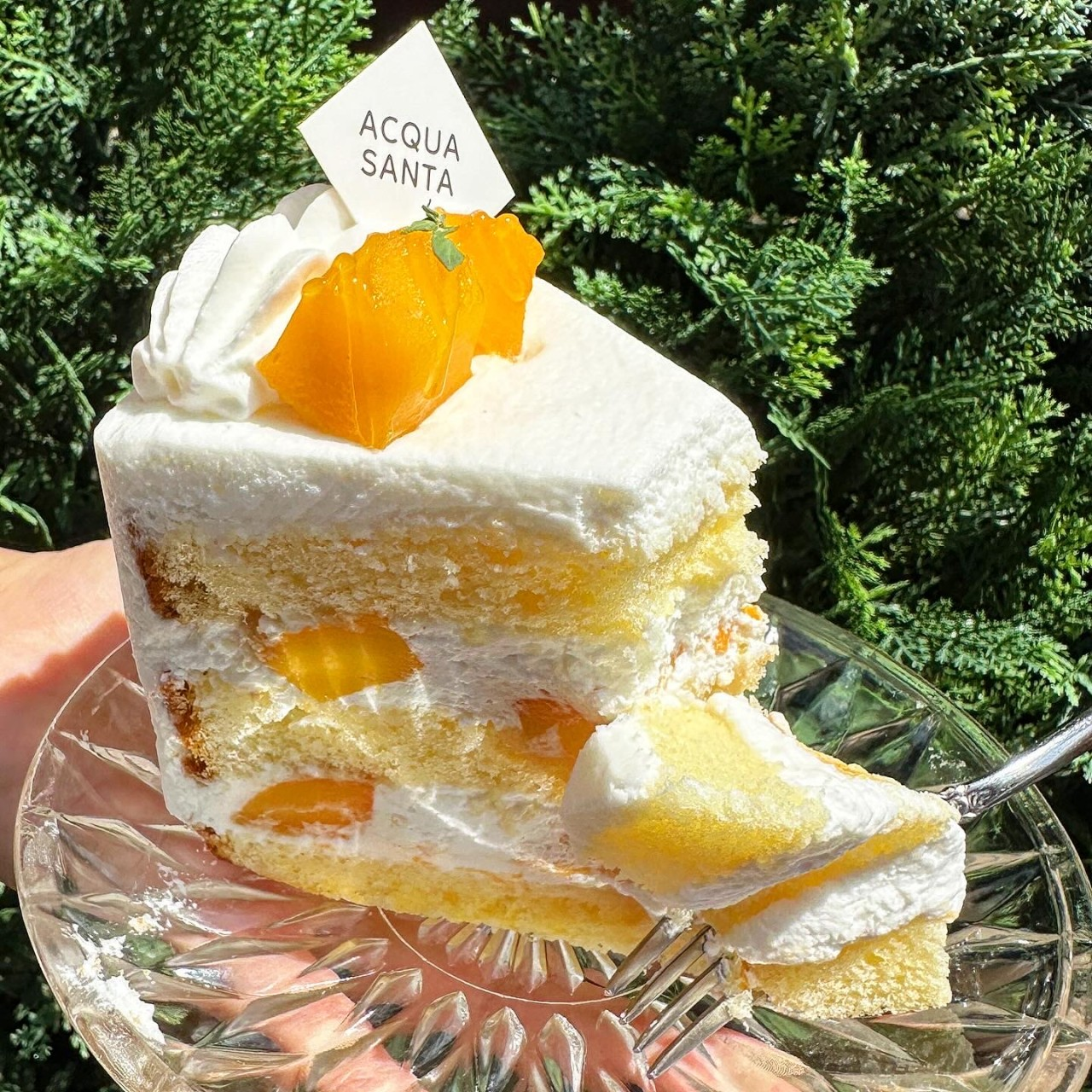 아쿠아산타 성수카페