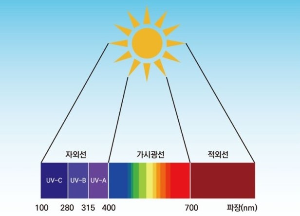 피부와 광선