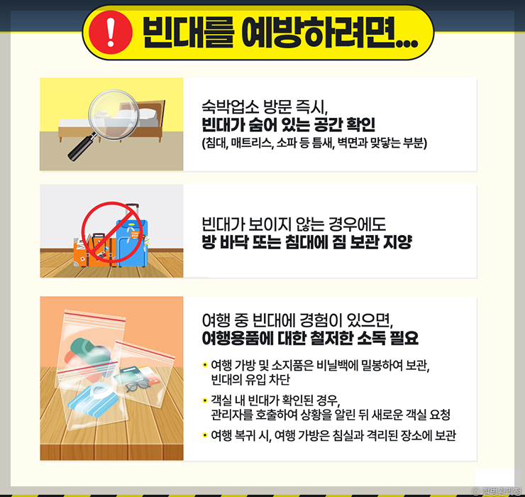 빈대 퇴치법 및 증상 A to Z