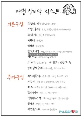 해외여행 약 준비 방법 기내 반입 기준과 필수 약품 리스트_21