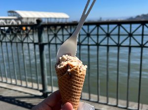 초등 저학년을 위한 필독 영어책 추천 10선