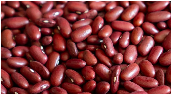 동지 팥죽 먹는 이유