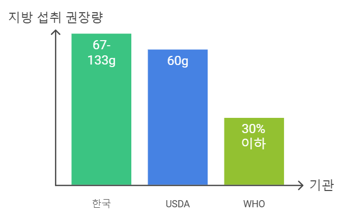 성인 여성의 하루 지방 섭취 권장량